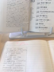 英単語が苦手なら 英単語ピーナツ をやれ 読んで学んで 考えて